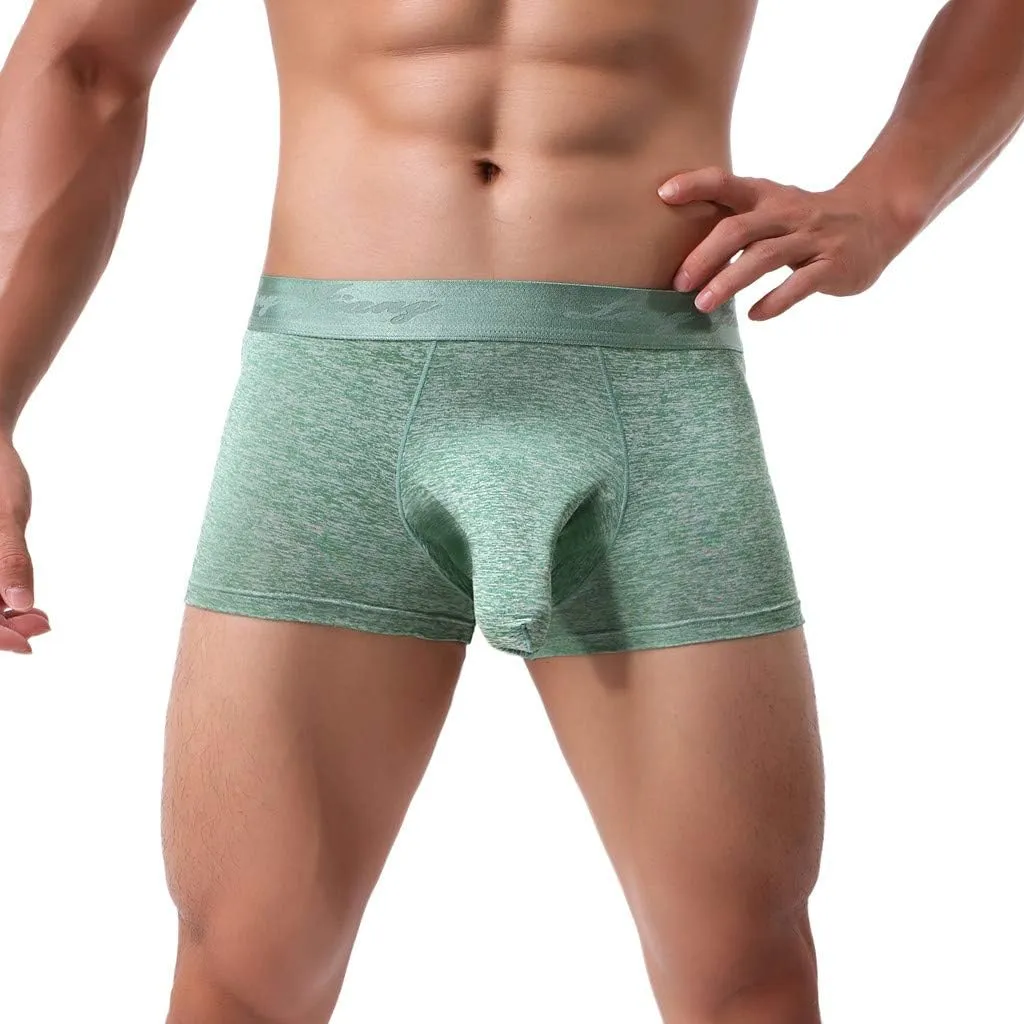 Shorts Underwear Briefs Men's Soft Knickers Sexy Underpants Men's underwear Underwear Japan