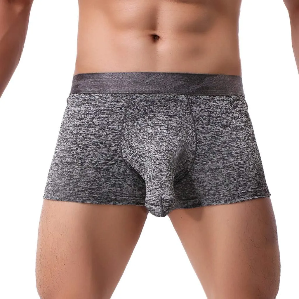 Shorts Underwear Briefs Men's Soft Knickers Sexy Underpants Men's underwear Underwear Japan