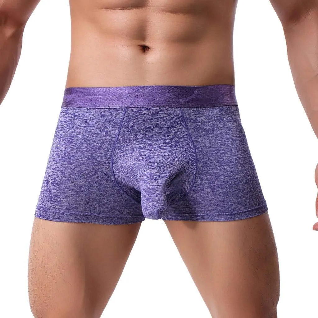 Shorts Underwear Briefs Men's Soft Knickers Sexy Underpants Men's underwear Underwear Japan