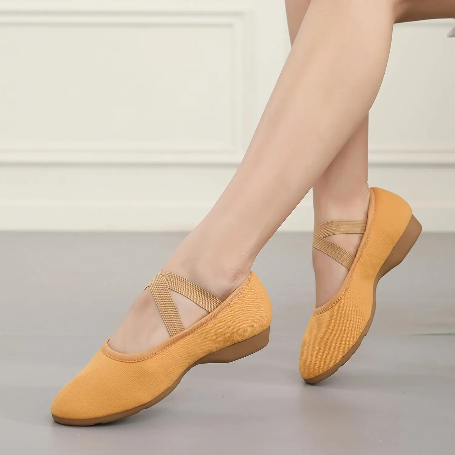 Women Flat Dance Practice Shoes Canvas Ballroom Social Dance Shoes for Beginner