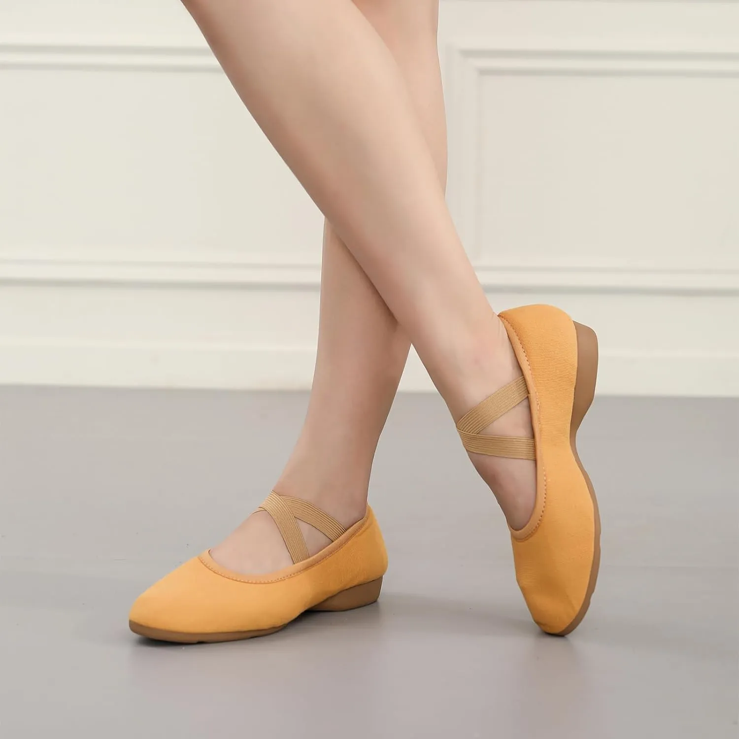 Women Flat Dance Practice Shoes Canvas Ballroom Social Dance Shoes for Beginner