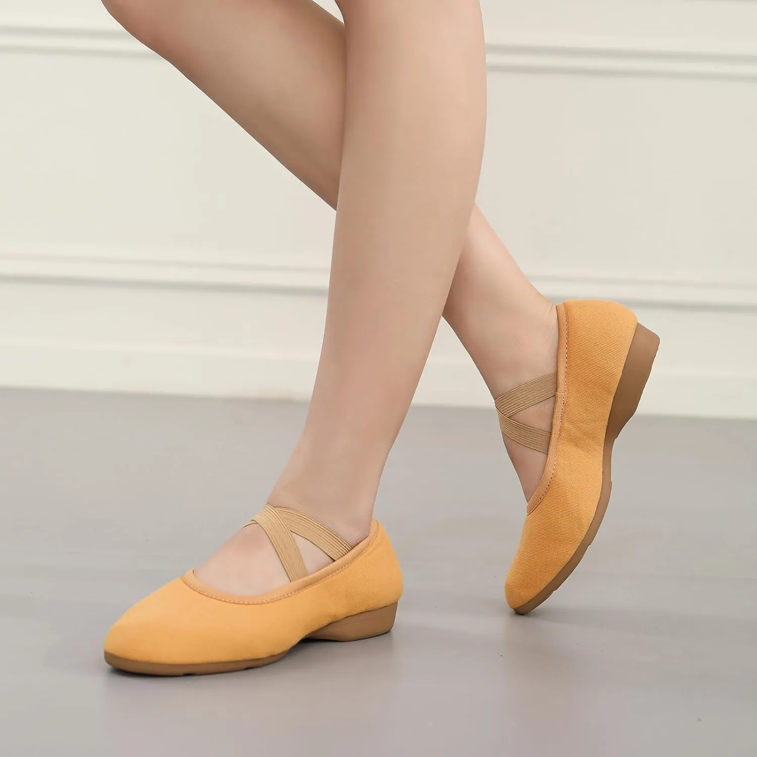 Women Flat Dance Practice Shoes Canvas Ballroom Social Dance Shoes for Beginner